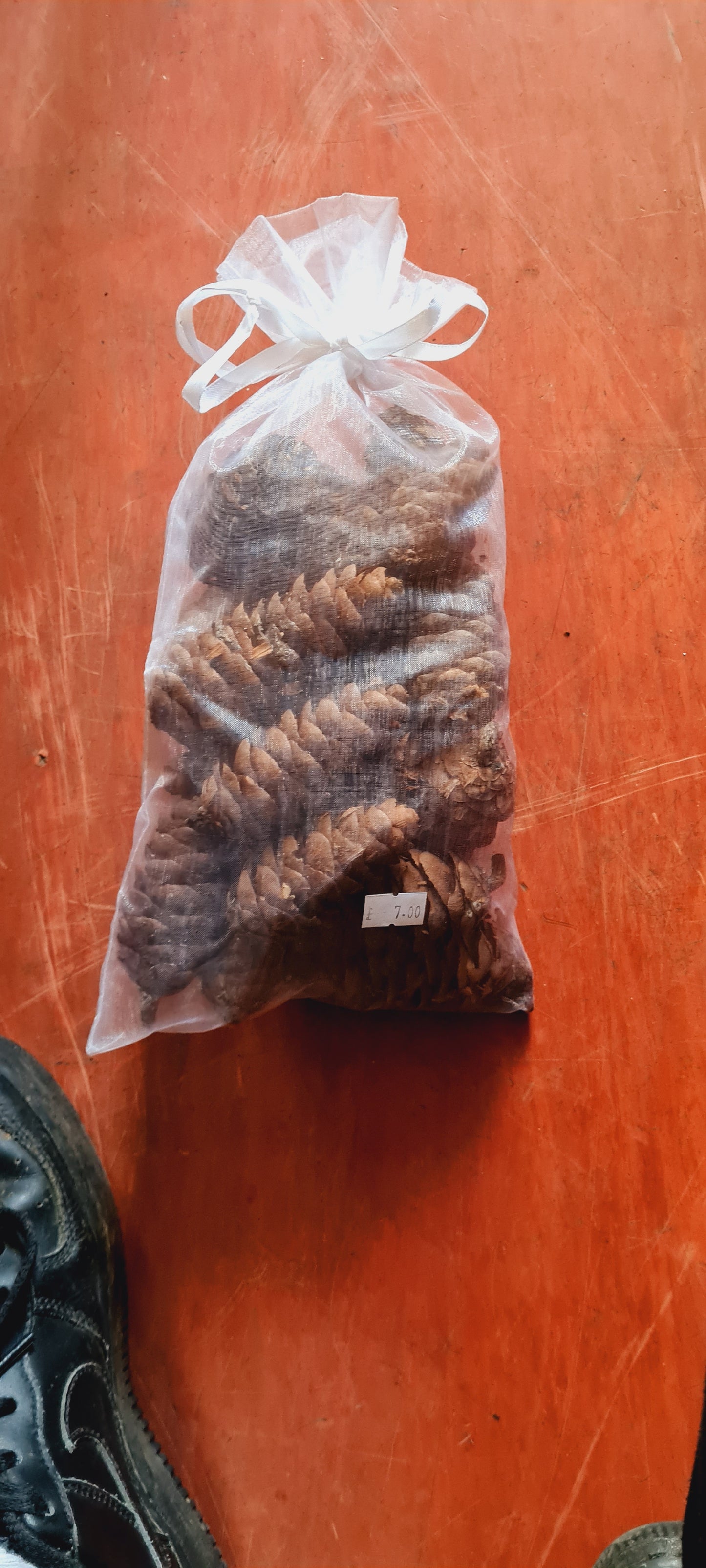 Bag of pinecones
