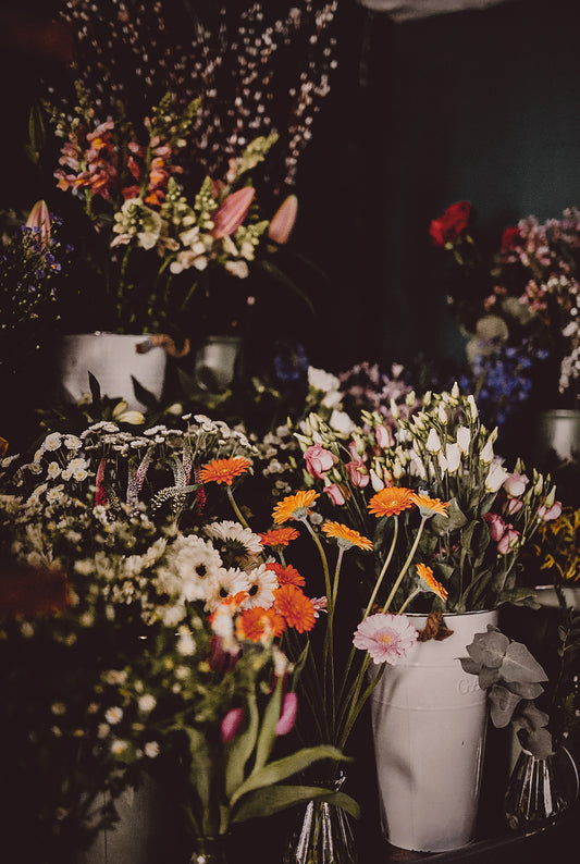 Cut flower subscriptions